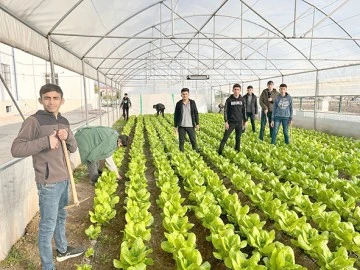 BELEDİYENİN &Ccedil;İ&Ccedil;EKLERİNİ &Ouml;ĞRENCİLER YETİŞTİRECEK