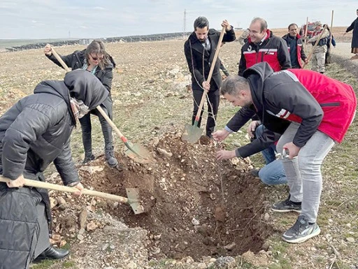 BEŞİRİ&rsquo;DE 1000 FİDAN TOPRAKLA BULUŞTU