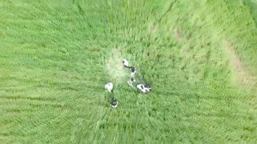 BİN ADET ECSTASY ELE GE&Ccedil;İRİLDİ