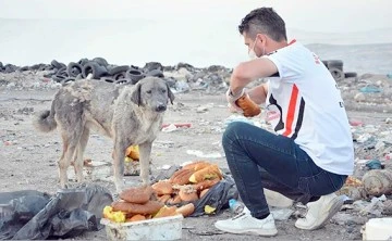 BİR KALP BİN UMUT&rsquo;TAN SOKAK HAYVANLARI İ&Ccedil;İN &Ouml;NERİ