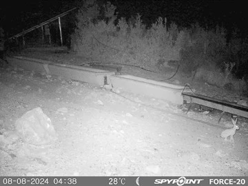 BİYOLOJİK &Ccedil;EŞİTLİLİK G&Ouml;R&Uuml;NT&Uuml;LENMEYE BAŞLANDI