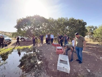 BİYOLOJİK M&Uuml;CADELE İ&Ccedil;İN S&Uuml;L&Uuml;N SALINIMI YAPILDI
