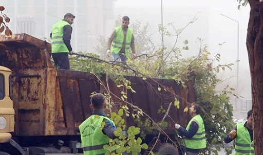 BUDAMA &Ccedil;ALIŞMALARI BAŞLADI