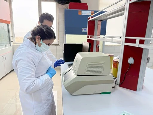 B&Uuml;MER, GENETİK ARAŞTIRMALARA BAŞLIYOR