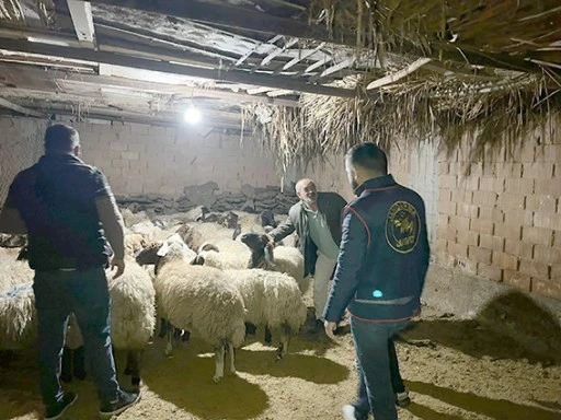 &Ccedil;ALINAN K&Uuml;&Ccedil;&Uuml;KBAŞ HAYVANLAR SAHİPLERİNE TESLİM EDİLDİ