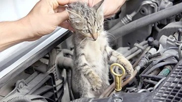 CAN DOSTLARIMIZI UNUTMAYIN!