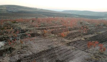 CEGELUYE K&Ouml;YL&Uuml;LERİNDEN TEŞEKK&Uuml;R
