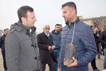 &Ccedil;İFT&Ccedil;İLERE 35 BİN FISTIK FİDANI DAĞITILDI