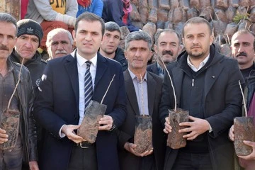 &Ccedil;İFT&Ccedil;İLERE FISTIK FİDANI DAĞITILDI