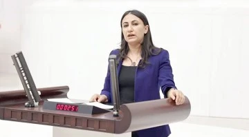 CİGERLO&rsquo;NUN SU SORUNU MECLİS&rsquo;E TAŞIDI