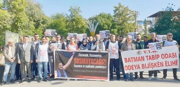 DEMOKRASİ PLATFORMUNDAN ELEŞTİRİ