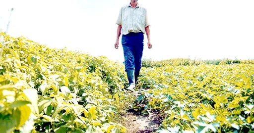 DİCLE ELEKTRİK&rsquo;TEN VAHŞİ SULAMAYA DİKKAT &Ccedil;EKTİ