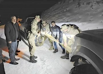 DONMAK &Uuml;ZEREYKEN KURTARILDILAR