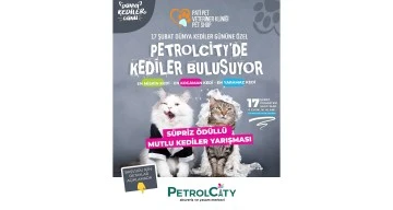 &lsquo;EN G&Uuml;ZEL KEDİ&rsquo; YARIŞMASI D&Uuml;ZENLENİYOR