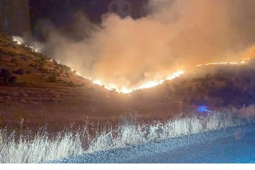 EŞ BAŞKAN S&Ouml;N&Uuml;K, YANGIN B&Ouml;LGESİNDEYDİ
