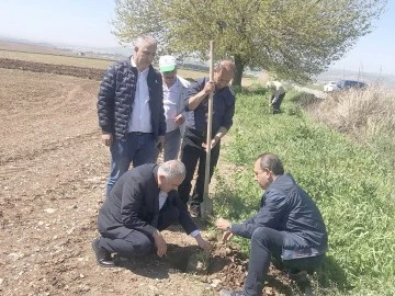 FİDAN DİKİM &Ccedil;ALIŞMALARI DEVAM EDİYOR