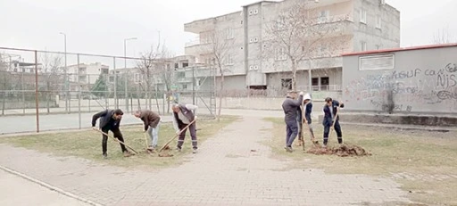 FİDANLAR TOPRAKLA BULUŞUYOR