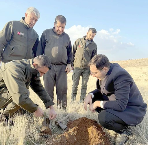 GERC&Uuml;Ş'TE 39 BİN 500 FİDAN TOPRAKLA BULUŞTU