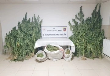 JANDARMA G&Ouml;Z A&Ccedil;TIRTMADI