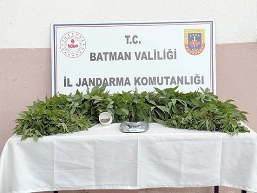 JANDARMADAN ZEHİR TACİRLERİNE BÜYÜK DARBE