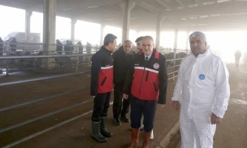 KA&Ccedil;AK ET KESİMİ DENETİMİ DEVAM EDİYOR