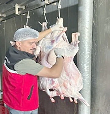 KA&Ccedil;AK ET KESİMİ İLE M&Uuml;CADELE DEVAM EDİYOR