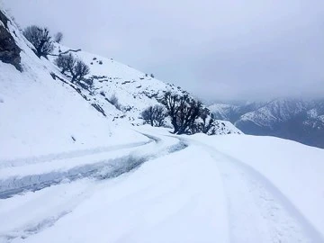 KARLA M&Uuml;CADELE!