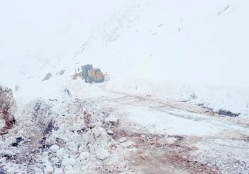 KARLA M&Uuml;CADELE &Ccedil;ALIŞMALARI DEVAM EDİYOR