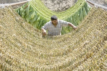 KARTAL&rsquo;A KUPA KAZANDIRAN FOTOĞRAF PROJE VE HİKAYESİ&nbsp;