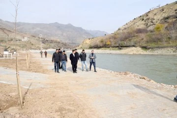 MESİRE ALANINA 500 AĞA&Ccedil;