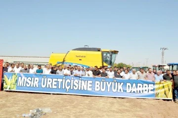 MISIR &Uuml;RETİCİLERİNDEN FİYAT TEPKİSİ