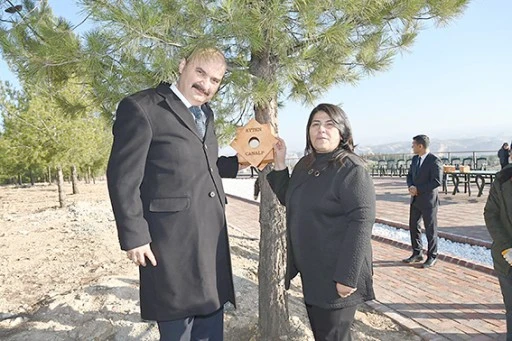 KUŞ YUVALARI AĞA&Ccedil;LARA ASILDI