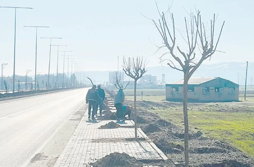 HASANKEYF G&Uuml;ZERG&Acirc;HI AĞA&Ccedil;LANDIRILIYOR
