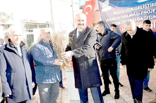 &Ccedil;İFT&Ccedil;İLERE 5 BİN 250 &Uuml;Z&Uuml;M FİDANI DAĞITILDI