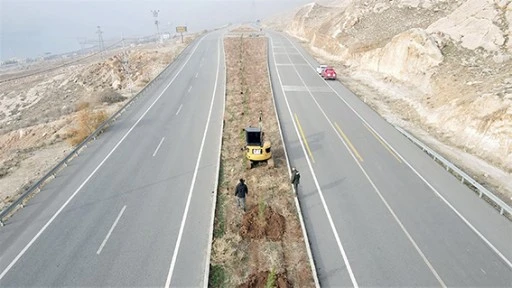 YEŞİL KUŞAK PROJESİ KAPSAMINDA; 3 BİN 620 ELDER &Ccedil;AMI FİDANI DİKİLDİ