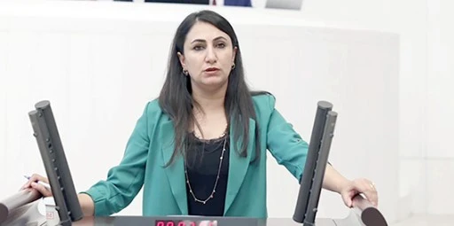 ODUNCU, PERPIRA KÖPRÜSÜNÜ MECLİSE TAŞIDI