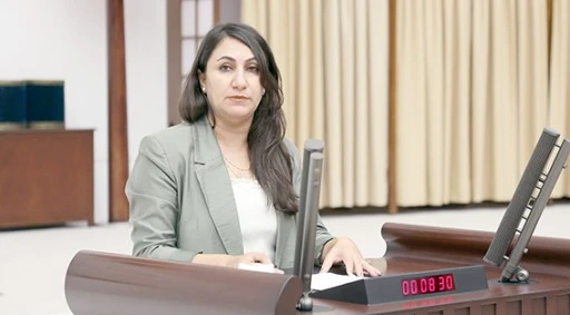 DEM PARTİLİ ODUNCU “KÜLTÜREL MİRAS YERELDEN ALINIP SARAYA DEVREDİLİYOR”