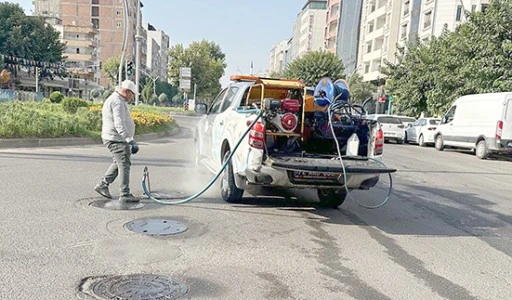 HAŞERENİN BULUNDUĞU HER NOKTA İLAÇLANIYOR