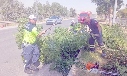 R&Uuml;ZG&Acirc;RIN DEVİRDİĞİ AĞA&Ccedil;LARA M&Uuml;DAHALE