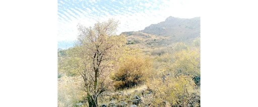 &Ccedil;İFT&Ccedil;İLER UYARDI &ldquo;YAĞIŞLAR YETERSİZ, KURAKLIK KAPIDA&rdquo;