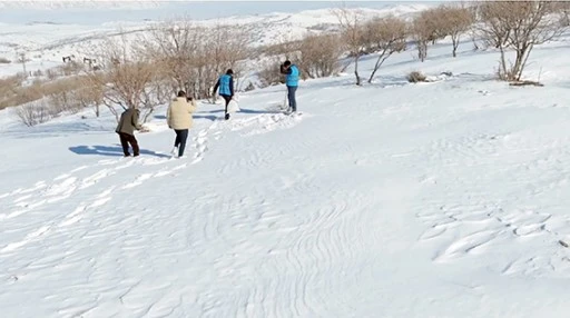 YABAN HAYATINA YEM DESTEĞİ