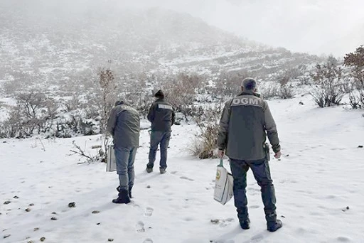 DONDURUCU KIŞTA YABAN HAYATINA UMUT OLDULAR