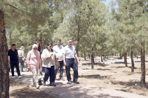 HATIRA ORMANINA Y&Uuml;R&Uuml;Y&Uuml;Ş YOLU, KAMELYA VE PİKNİK MASALARI