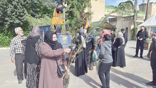 MEZARLIKTA FİDAN DAĞITIMI