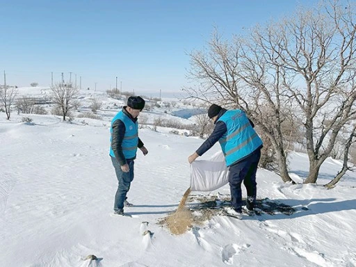 BELEDİYE, YABAN HAYVANLARINI UNUTMADI