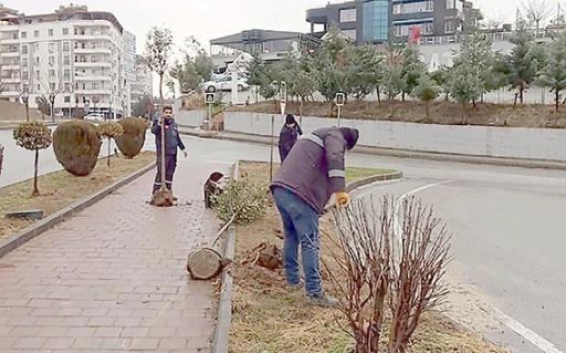 AĞA&Ccedil;LANDIRMA &Ccedil;ALIŞMALARINA AĞIRLIK VERİLDİ