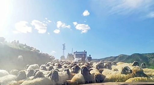 G&Ouml;&Ccedil;ERLERİN YOLCULUĞU BAŞLADI
