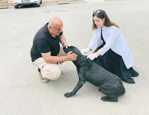 EV HAYVANLARINA MİKRO&Ccedil;İP İŞLEMLERİ DEVAM EDİYOR