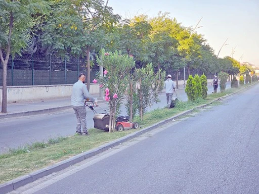 85 D&Ouml;N&Uuml;ML&Uuml;K ALANDA PARK VE BAH&Ccedil;E BAKIMI GER&Ccedil;EKLEŞTİRİLDİ