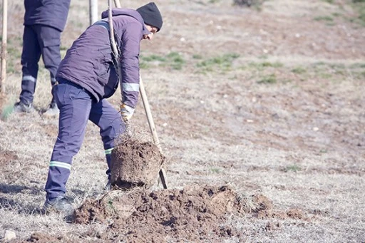 ESENTEPE&rsquo;DE AĞA&Ccedil;LANDIRMA &Ccedil;ALIŞMASI